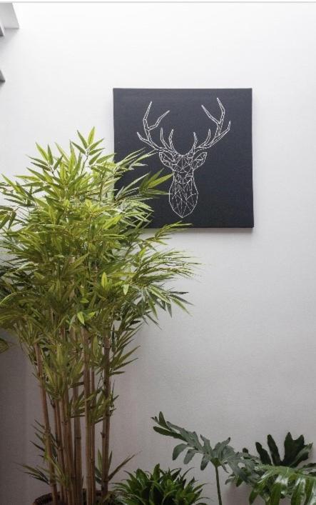 Apartemen In Old Town Marbella